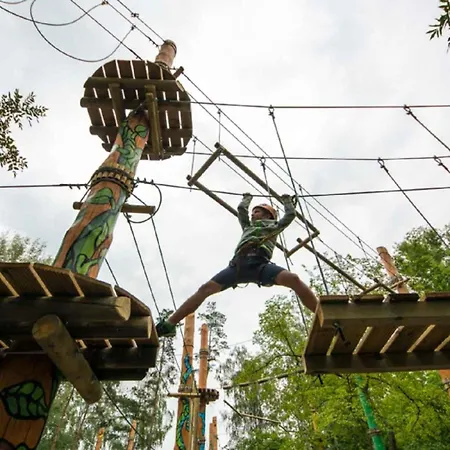 In - Balaton 53839 *