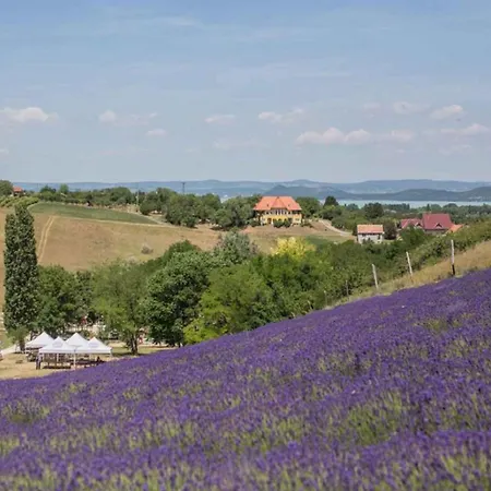 In - Balaton 53839 Apartament Zamárdi