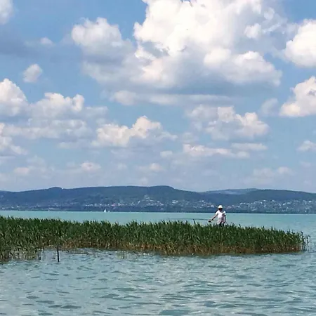 In - Balaton 53839 * Zamárdi