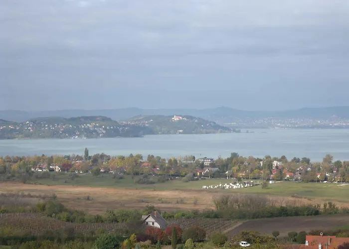 In - Balaton 53839 * Zamárdi