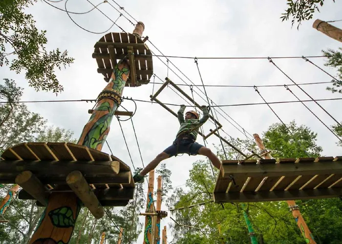 In - Balaton 53839 *