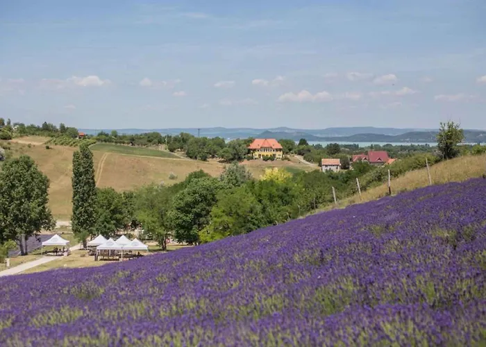 In - Balaton 53839 Apartamento Zamárdi