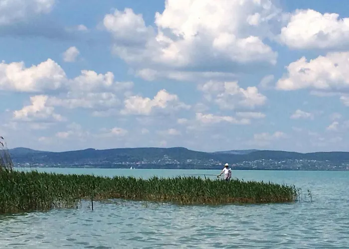 In - Balaton 53839 * Zamárdi